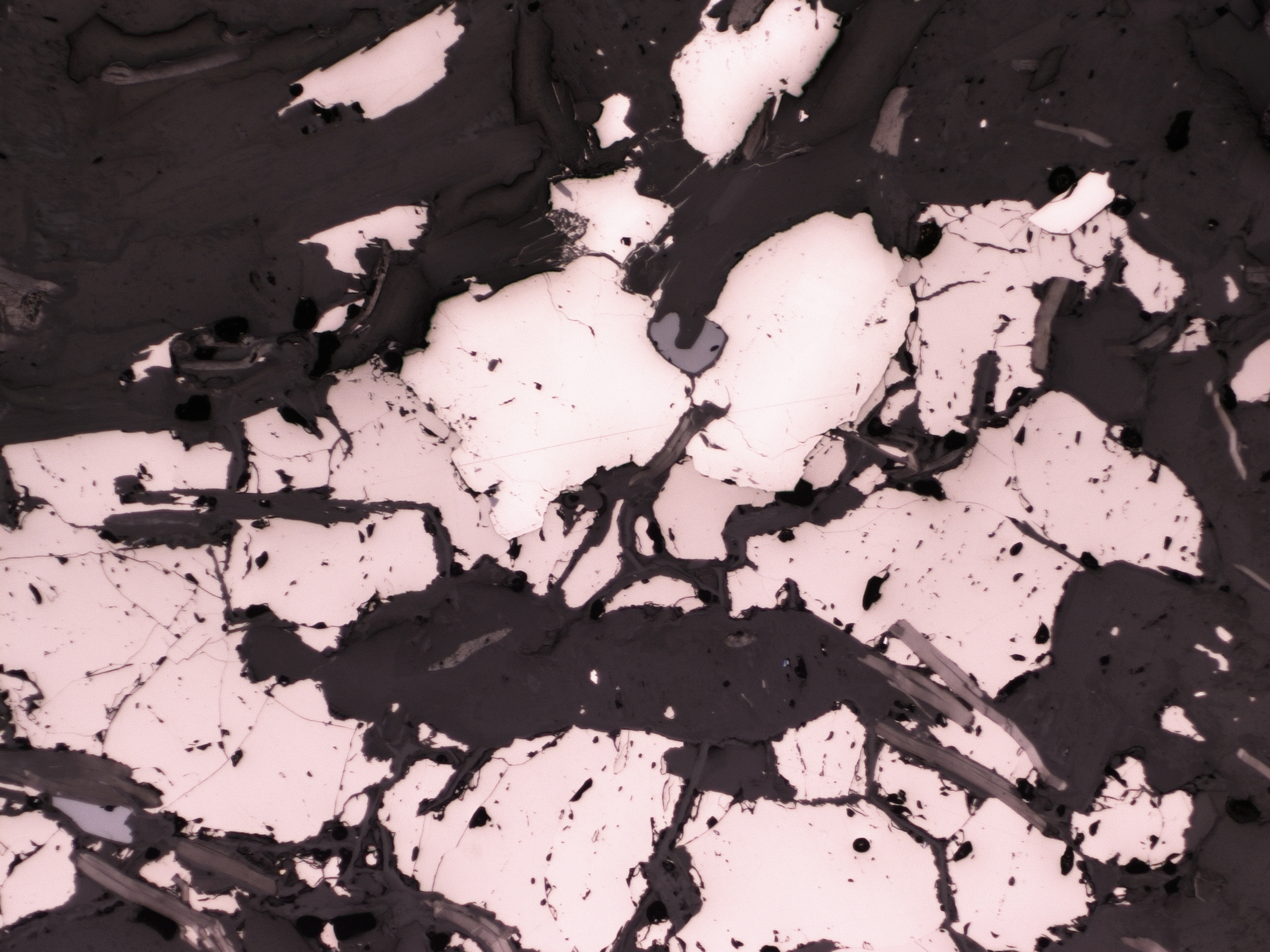 thin section reflected light - pyrrhotite and pyrite